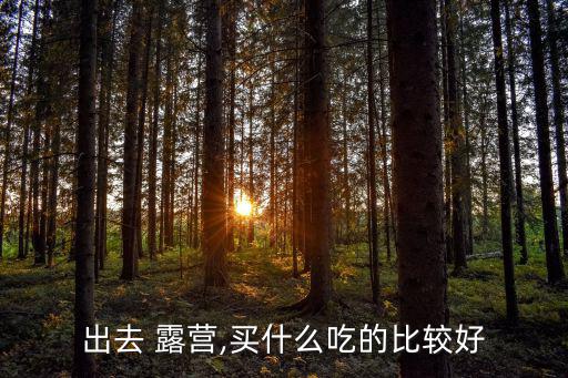 出去 露營(yíng),買(mǎi)什么吃的比較好