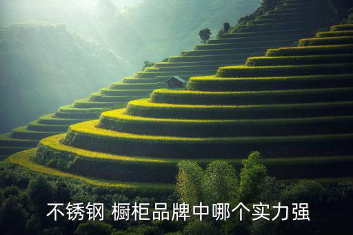 不銹鋼櫥柜貨架,不銹鋼櫥柜優(yōu)勢(shì):具有安全環(huán)保特點(diǎn)