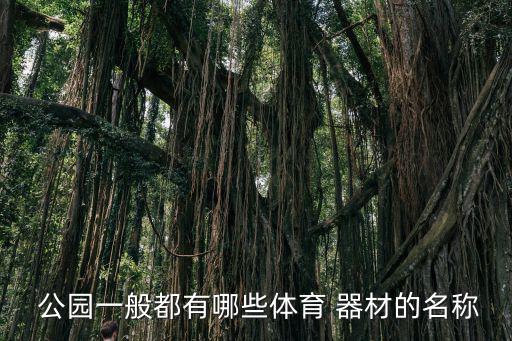 公園健身器材圖片高清,有氧運動器材和健身路徑介紹一下