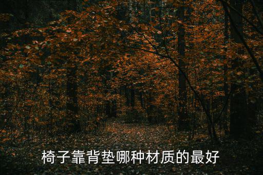 椅子靠背墊哪種材質(zhì)的最好
