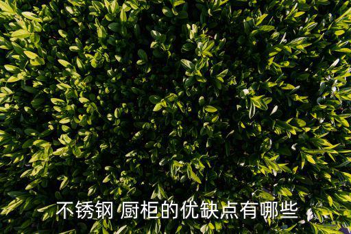  不銹鋼 廚柜的優(yōu)缺點(diǎn)有哪些