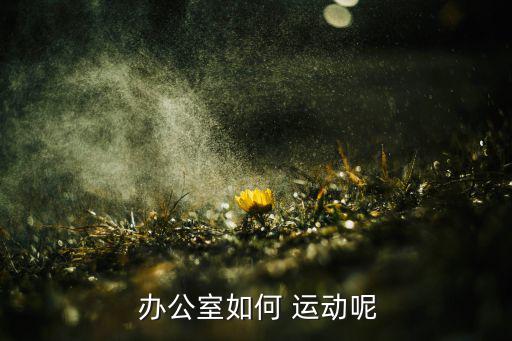 辦公室運動器材擺放,辦公室do運動