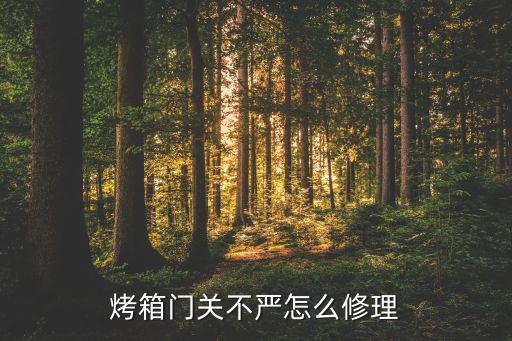 烤箱門(mén)關(guān)不嚴(yán)怎么修理