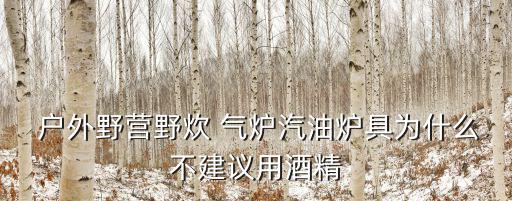  戶外野營野炊 氣爐汽油爐具為什么不建議用酒精