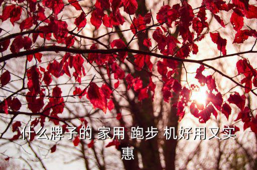 家用什么牌子的跑步機(jī)好,家用跑步機(jī)哪些品牌最火?