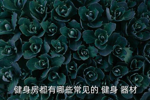  健身房都有哪些常見(jiàn)的 健身 器材