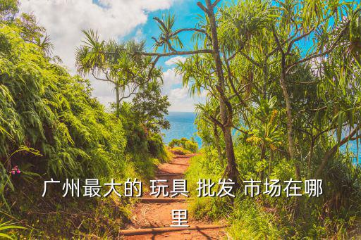  廣州最大的 玩具 批發(fā) 市場(chǎng)在哪里