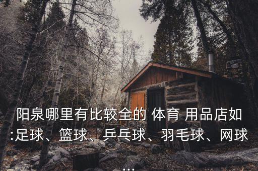 陽泉哪里有比較全的 體育 用品店如:足球、籃球、乒乓球、羽毛球、網(wǎng)球...