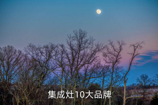  集成灶10大品牌