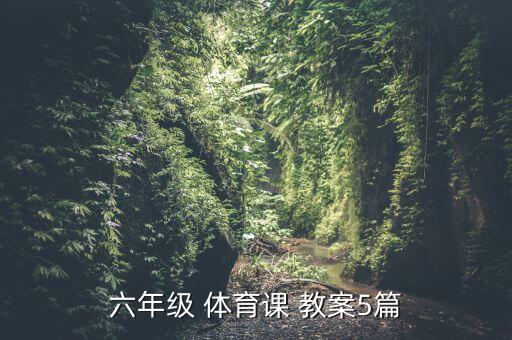 小學(xué)體育傳接球教案,六年級(jí)體育班級(jí)教案:一、小水滴和小魚