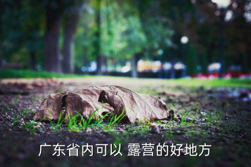 湛江適合戶外露營(yíng)地方,西充海灘和三門島白沙灣露營(yíng)點(diǎn)亮夜空