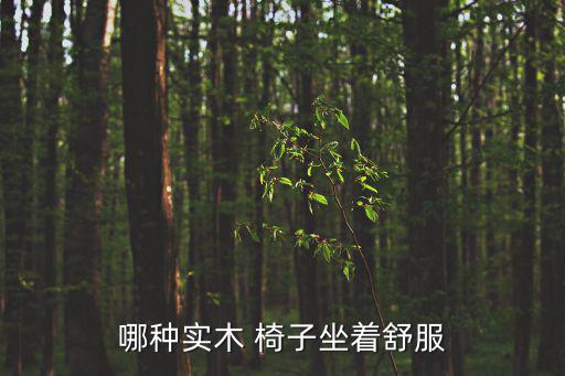 哪種實(shí)木 椅子坐著舒服