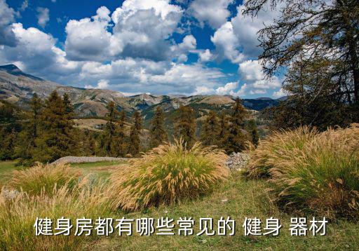 體育場(chǎng)的健身器材,體育場(chǎng)館健身房特定健身器材供選擇