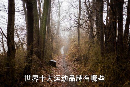 所有體育品牌衣服商標(biāo)圖片,ua主要生產(chǎn)緊身內(nèi)衣和運(yùn)動褲