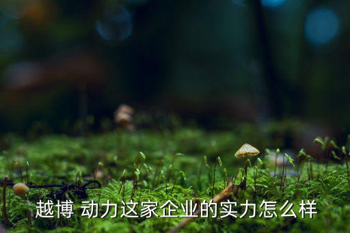 越博 動力這家企業(yè)的實力怎么樣