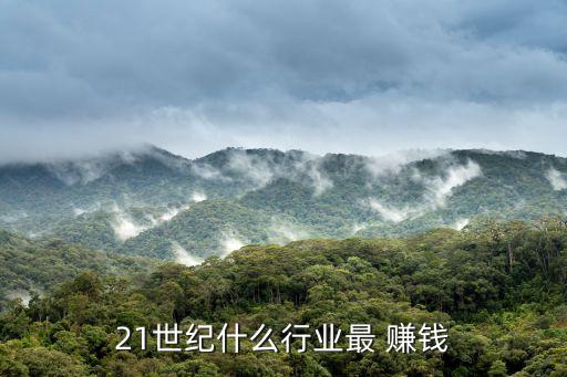 21世紀(jì)什么行業(yè)最 賺錢(qián)