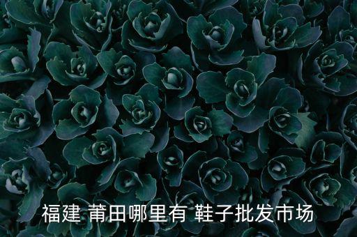 莆田哪里有賣(mài)鞋子的地方,在地?cái)偵腺I(mǎi)莆田鞋也比較靠譜!