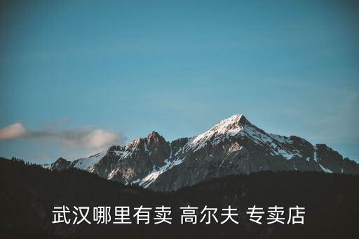 附近高爾夫用品專賣店,專賣店致力提供最優(yōu)質的高球品牌服務