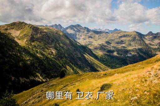 廣州衛(wèi)衣批發(fā)廠(chǎng)家直批代發(fā),廣州衣服批發(fā)市場(chǎng)有哪些?
