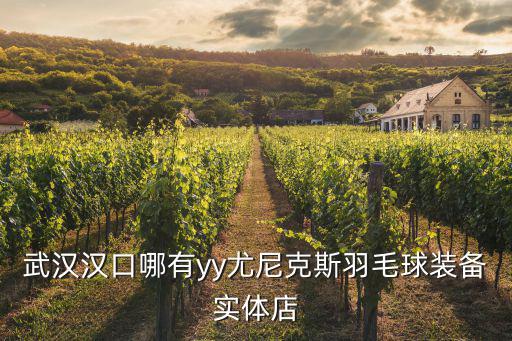 武漢漢口哪有yy尤尼克斯羽毛球裝備實(shí)體店