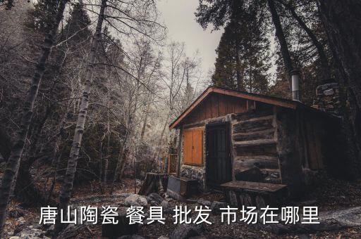 餐具批發(fā)市場,唐山有兩個陶瓷市場供你選購廚具