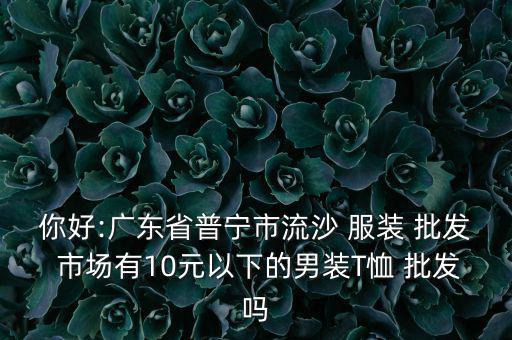 你好:廣東省普寧市流沙 服裝 批發(fā) 市場有10元以下的男裝T恤 批發(fā)嗎