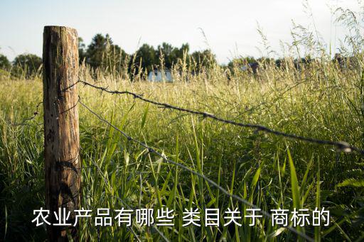 注冊商標類目大全,農產品知多少?商標該怎么注冊?