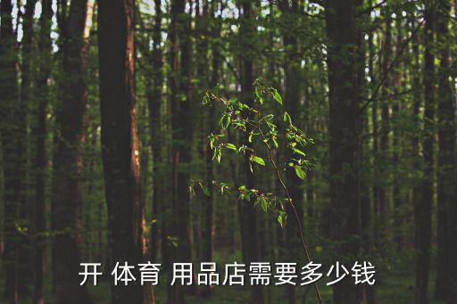體育用品店一般多少錢一個(gè),羽毛球知多少?別錯過!