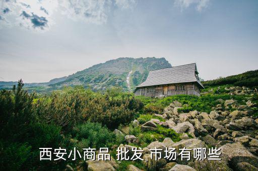 西安小商品 批發(fā) 市場有哪些