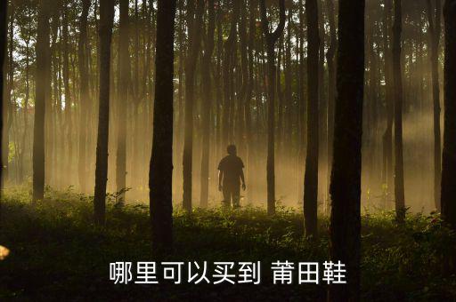 哪里可以買(mǎi)到 莆田鞋