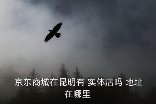 京東實體店查詢地址,京東商城昆明分公司提供以下服務(wù)
