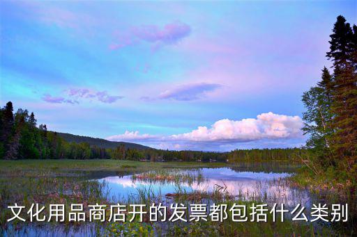 戶外休閑座椅開(kāi)發(fā)票屬于什么類目