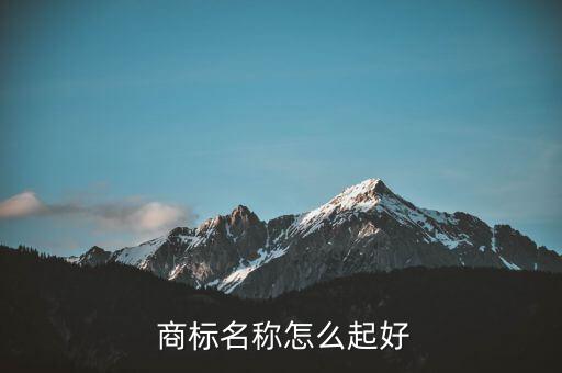 商標(biāo)起名十大方法,創(chuàng)意策劃助客戶低成本高效溝通