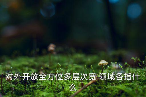 涉及領(lǐng)域廣泛什么意思,行業(yè)領(lǐng)域指什么意思