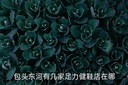 包頭體育用品哪里便宜,包頭東河有幾家意大利健鞋店?