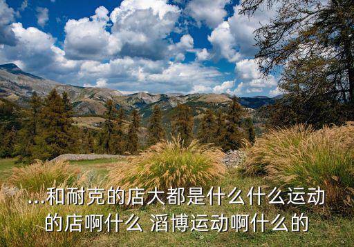 ...和耐克的店大都是什么什么運(yùn)動的店啊什么 滔博運(yùn)動啊什么的
