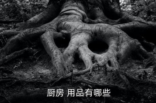 酒店廚房用品大全明細(xì)表,100種廚房用具名稱