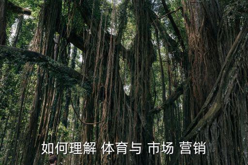 如何理解 體育與 市場 營銷
