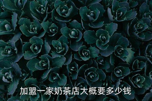加盟一家奶茶店大概要多少錢