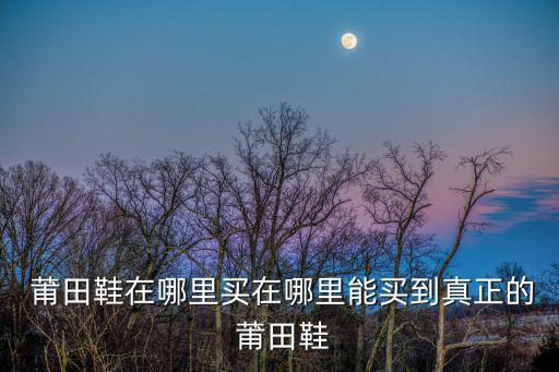 莆田鞋在哪里買(mǎi)在哪里能買(mǎi)到真正的 莆田鞋