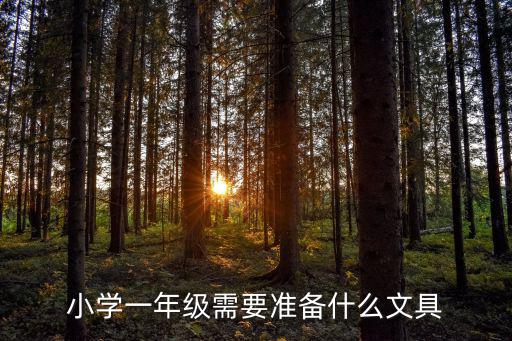 小學(xué)生體育器材清單圖片,運動會體育器材清單
