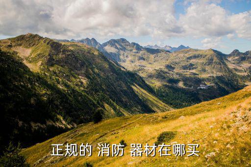 正規(guī)的 消防 器材在哪買