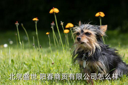 陽春哪里有體育用品店