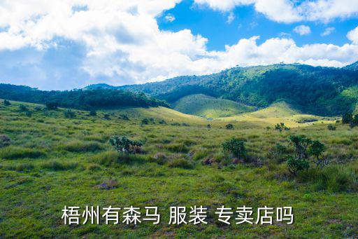 梧州有森馬 服裝 專(zhuān)賣(mài)店嗎
