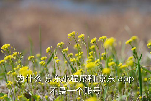 為什么 京東小程序和 京東 app不是一個(gè)賬號(hào)