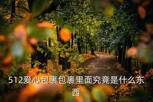 512愛(ài)心包裹包裹里面究竟是什么東西