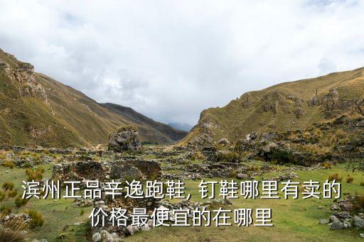濱州正品辛逸跑鞋, 釘鞋哪里有賣(mài)的價(jià)格最便宜的在哪里