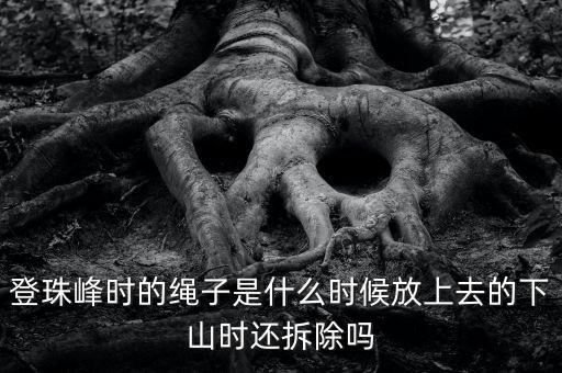 攀巖繩多少錢一米,室內攀巖多少錢一次