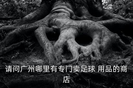 體育用品門店圖片大全,阿童木體育用品圖片大全