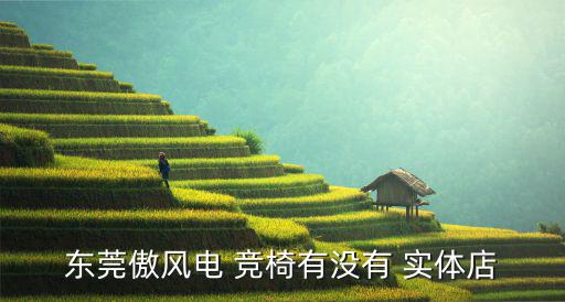 南寧電競椅實體店地址,這些電子產(chǎn)品從哪里買?